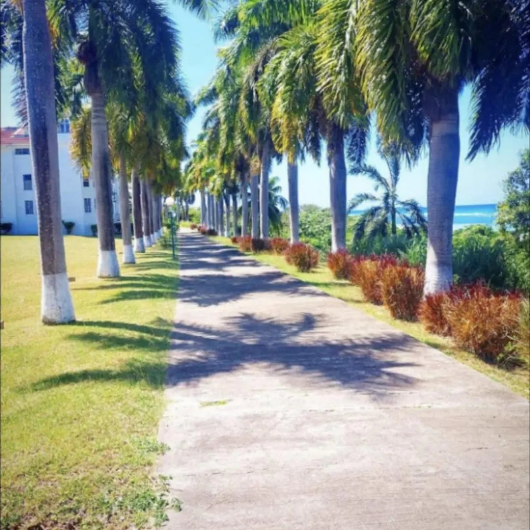 Paradise By The Sea Montego Bay Daire